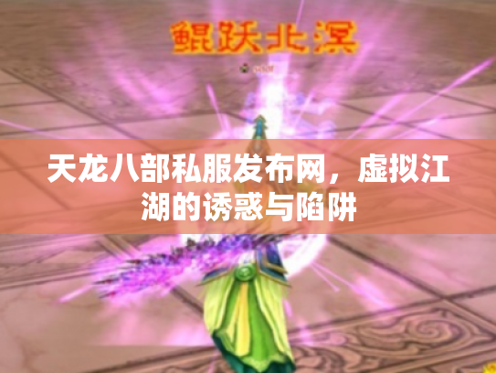 天龙八部私服发布网，虚拟江湖的诱惑与陷阱