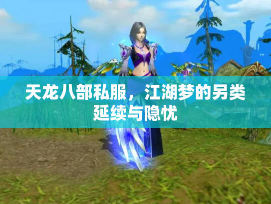 天龙八部私服，江湖梦的另类延续与隐忧