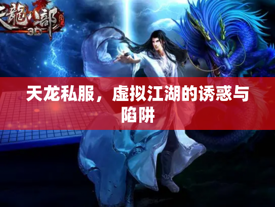 天龙私服，虚拟江湖的诱惑与陷阱
