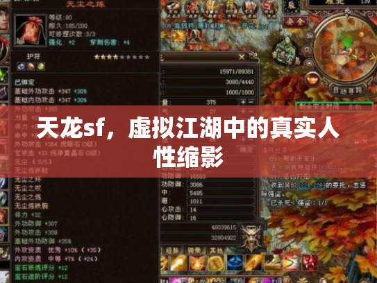 天龙sf，虚拟江湖中的真实人性缩影