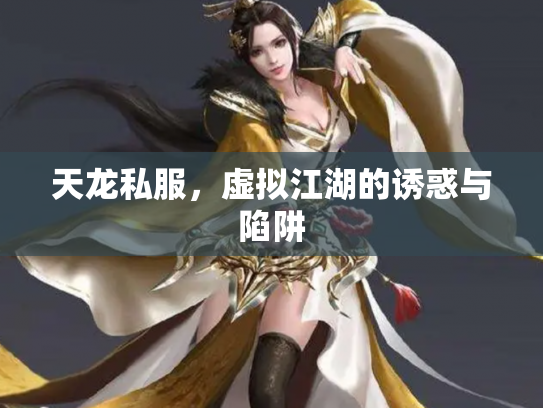 天龙私服，虚拟江湖的诱惑与陷阱