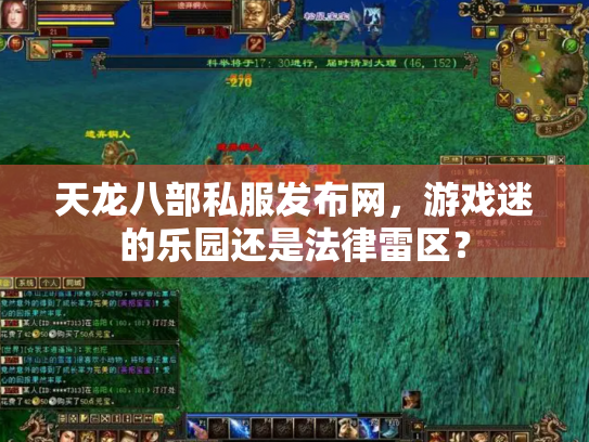 天龙八部私服发布网，游戏迷的乐园还是法律雷区？