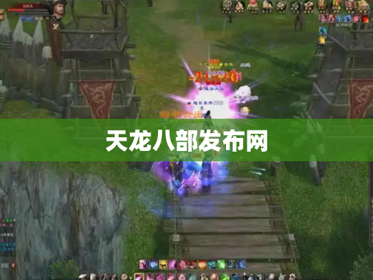 天龙八部发布网