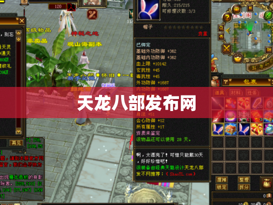 天龙八部发布网