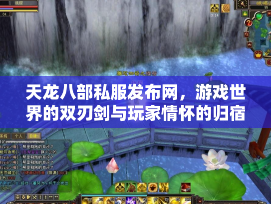 天龙八部私服发布网，游戏世界的双刃剑与玩家情怀的归宿