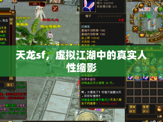 天龙sf，虚拟江湖中的真实人性缩影