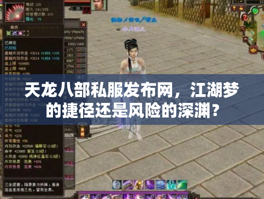 天龙八部私服发布网，江湖梦的捷径还是风险的深渊？