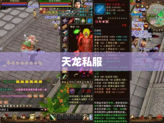天龙私服