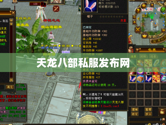 天龙八部私服发布网