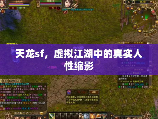 天龙sf，虚拟江湖中的真实人性缩影