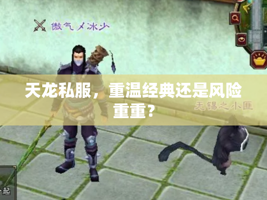 天龙私服，重温经典还是风险重重？