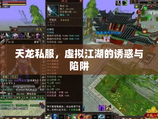 天龙私服，虚拟江湖的诱惑与陷阱