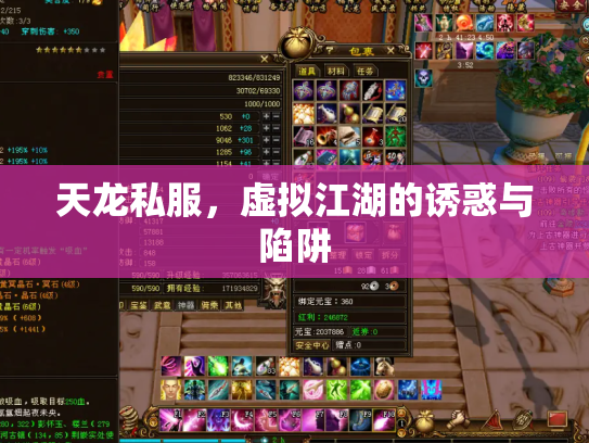 天龙私服，虚拟江湖的诱惑与陷阱