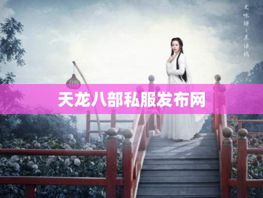 天龙八部私服发布网