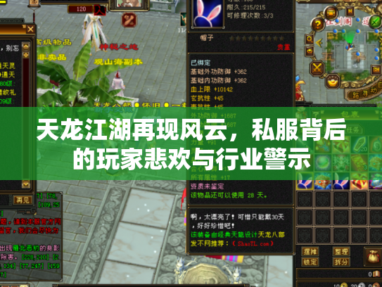 天龙江湖再现风云，私服背后的玩家悲欢与行业警示