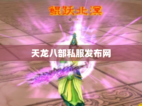 天龙八部私服发布网