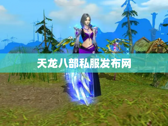 天龙八部私服发布网