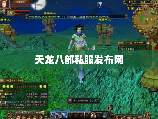 天龙八部私服发布网
