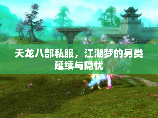 天龙八部私服，江湖梦的另类延续与隐忧