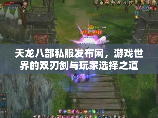 天龙八部私服发布网，游戏世界的双刃剑与玩家选择之道