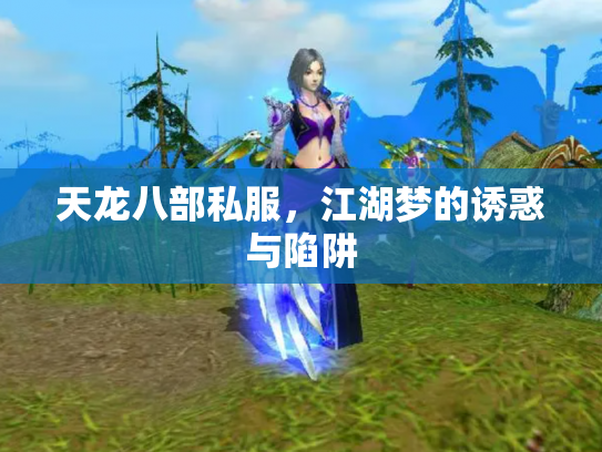 天龙八部私服，江湖梦的诱惑与陷阱
