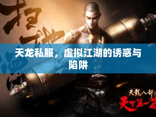 天龙私服，虚拟江湖的诱惑与陷阱