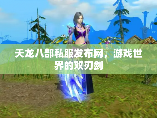 天龙八部私服发布网，游戏世界的双刃剑