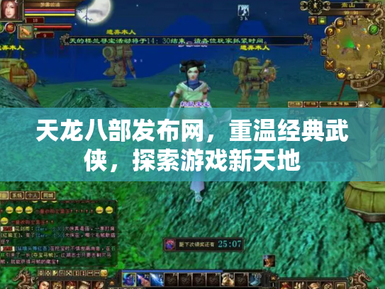 天龙八部发布网，重温经典武侠，探索游戏新天地