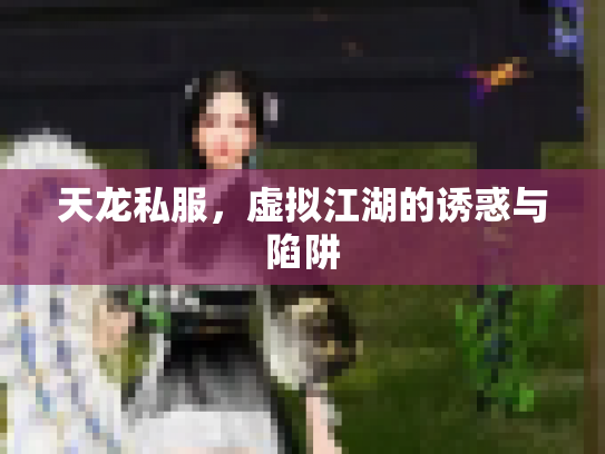 天龙私服，虚拟江湖的诱惑与陷阱