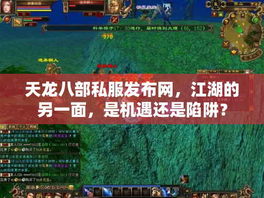 天龙八部私服发布网，江湖的另一面，是机遇还是陷阱？