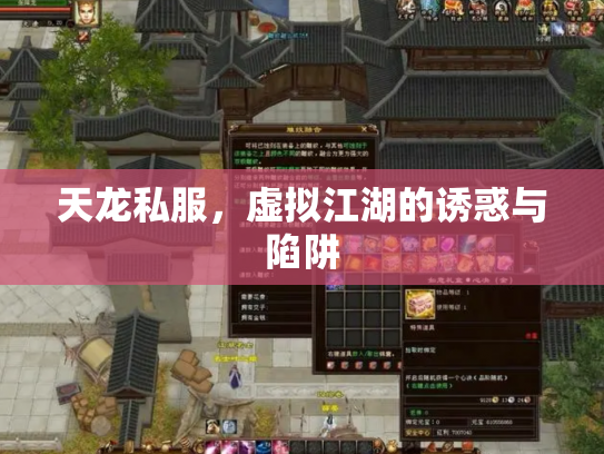 天龙私服，虚拟江湖的诱惑与陷阱