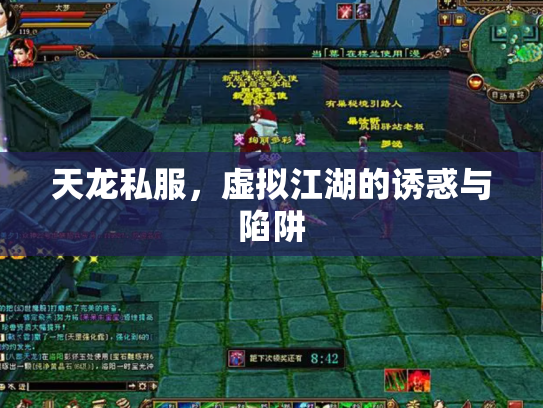 天龙私服，虚拟江湖的诱惑与陷阱