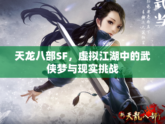 天龙八部SF，虚拟江湖中的武侠梦与现实挑战