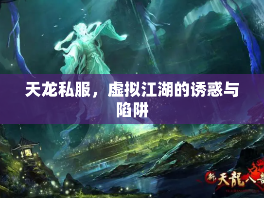 天龙私服，虚拟江湖的诱惑与陷阱