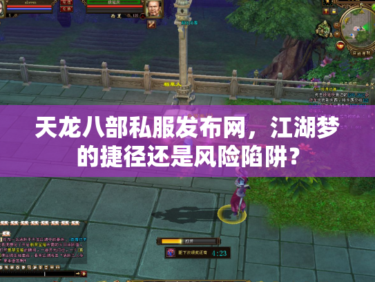 天龙八部私服发布网，江湖梦的捷径还是风险陷阱？