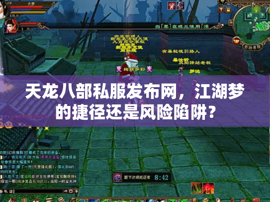 天龙八部私服发布网，江湖梦的捷径还是风险陷阱？
