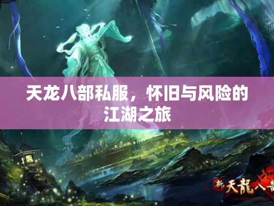 天龙八部私服，怀旧与风险的江湖之旅