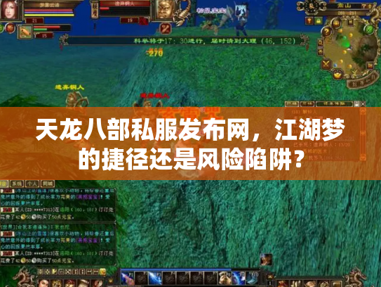 天龙八部私服发布网，江湖梦的捷径还是风险陷阱？