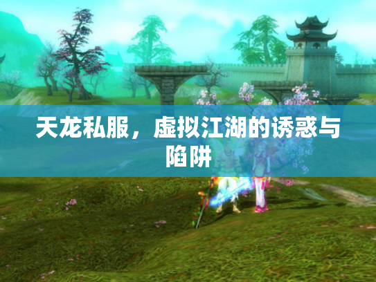 天龙私服，虚拟江湖的诱惑与陷阱