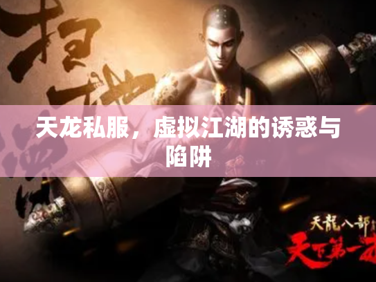 天龙私服，虚拟江湖的诱惑与陷阱