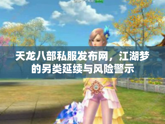 天龙八部私服发布网，江湖梦的另类延续与风险警示