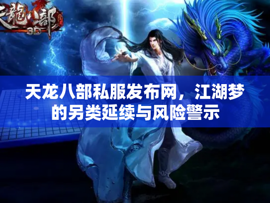 天龙八部私服发布网，江湖梦的另类延续与风险警示
