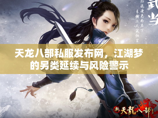 天龙八部私服发布网，江湖梦的另类延续与风险警示