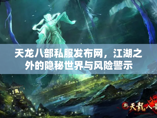 天龙八部私服发布网，江湖之外的隐秘世界与风险警示