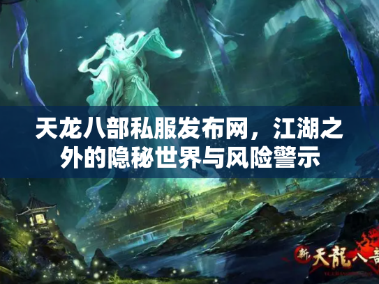 天龙八部私服发布网，江湖之外的隐秘世界与风险警示