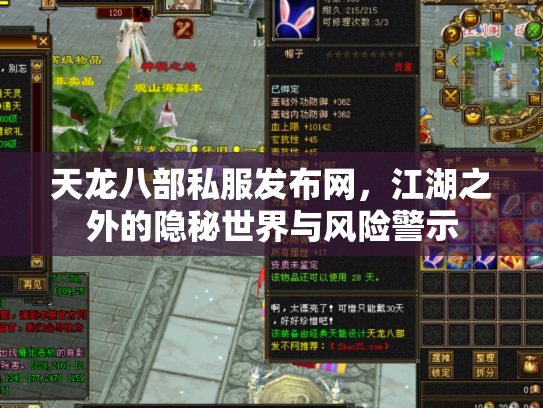 天龙八部私服发布网，江湖之外的隐秘世界与风险警示