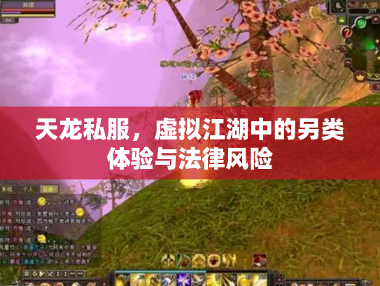 天龙私服，虚拟江湖中的另类体验与法律风险