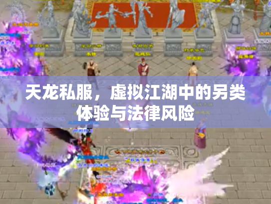 天龙私服，虚拟江湖中的另类体验与法律风险