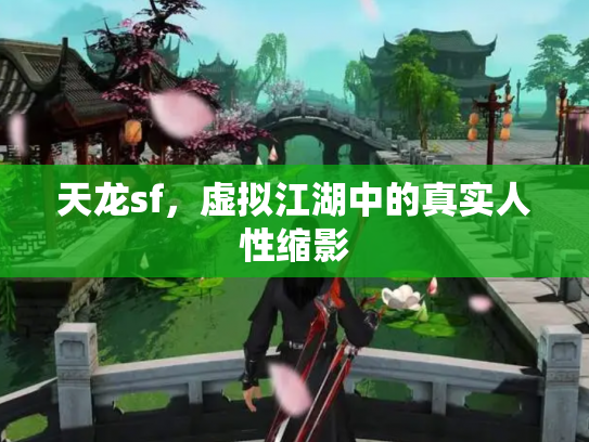 天龙sf，虚拟江湖中的真实人性缩影