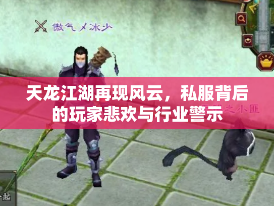 天龙江湖再现风云，私服背后的玩家悲欢与行业警示
